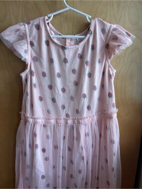Hanna Andersson Pink Strawberry Tulle Dress